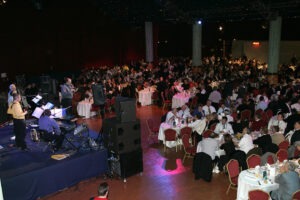 Animation de soirées